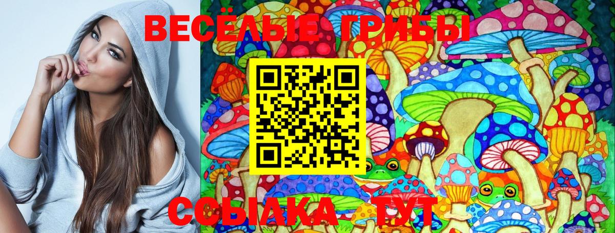 продажа наркотиков  Галлюциногенные грибы Psilocybe  Прохладный  Вход с VPN  Псилоцибиновые грибы Psilocybe 